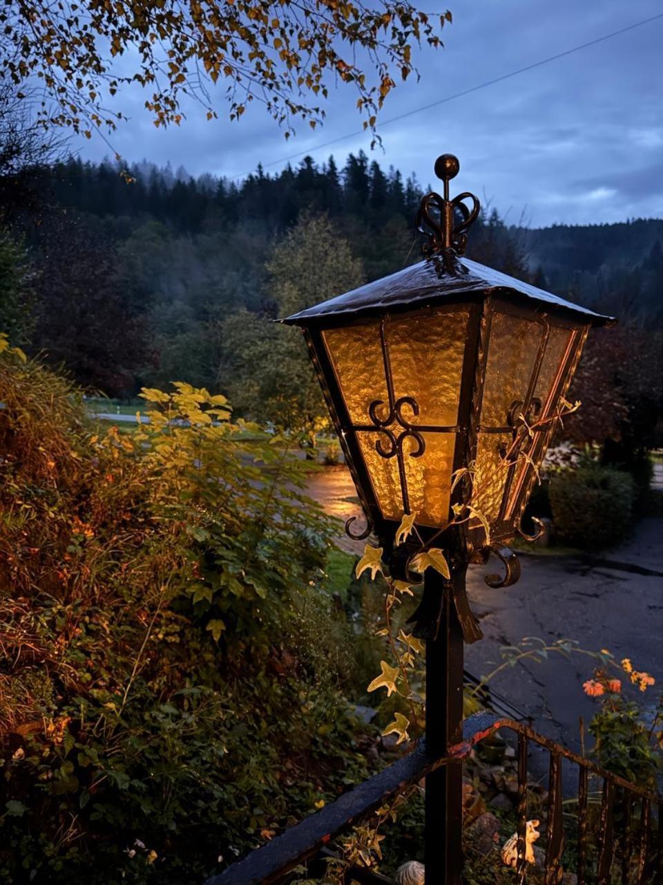 Be Me Black Forest Family Apartment -Zum Letzten G'Stehr 巴特里坡德索西坡 外观 照片